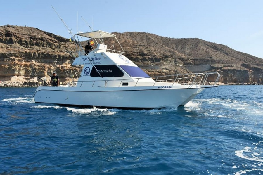 Charter de pesca White Marlin