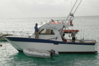Albatroz Cape Verde fishing