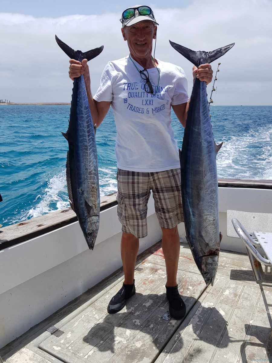 Fishing Charter Albatroz