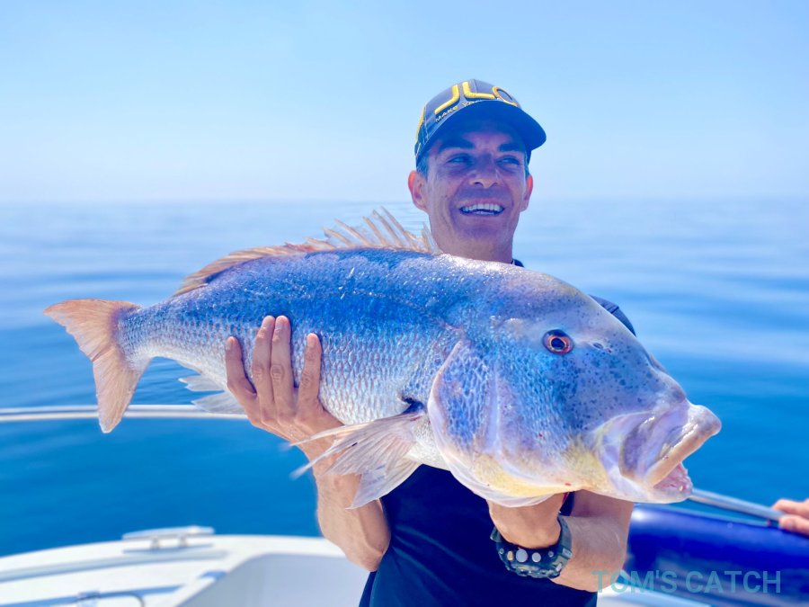 Fishing Charter Aris Profishing Alicante
