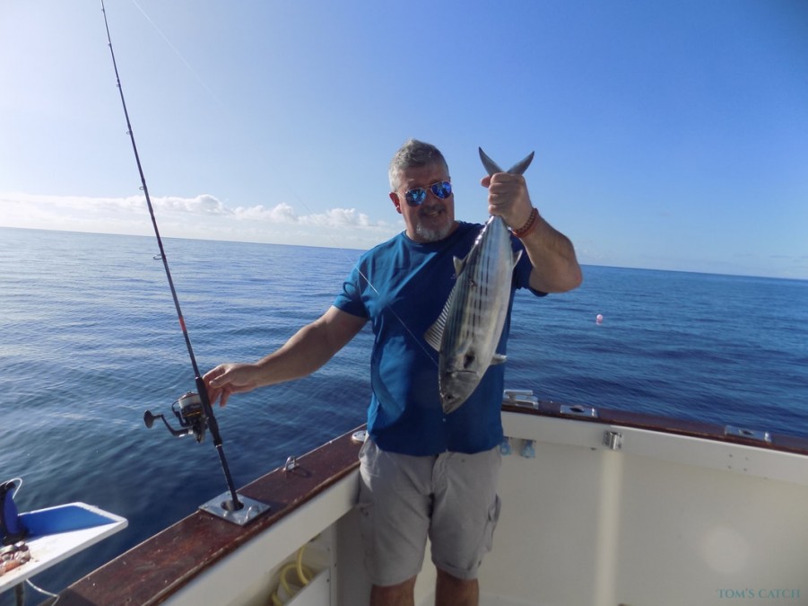 Fishing Charter Blue Marlin 3