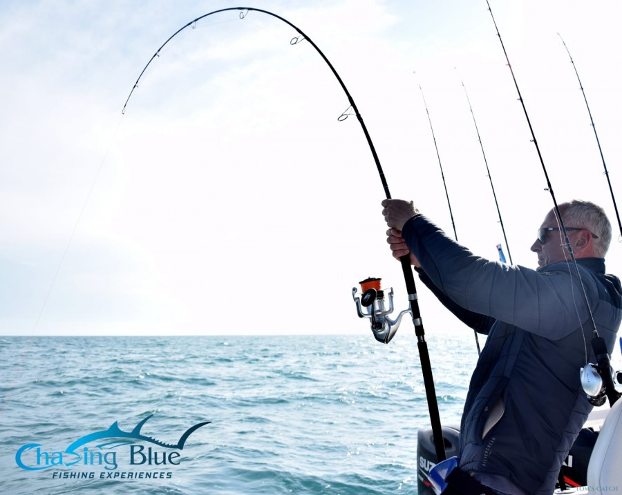 Fishing Charter Chasing Blue