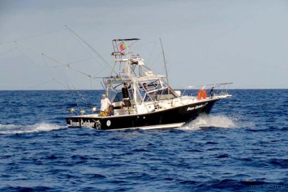 Dream Catcher Madeira fishing