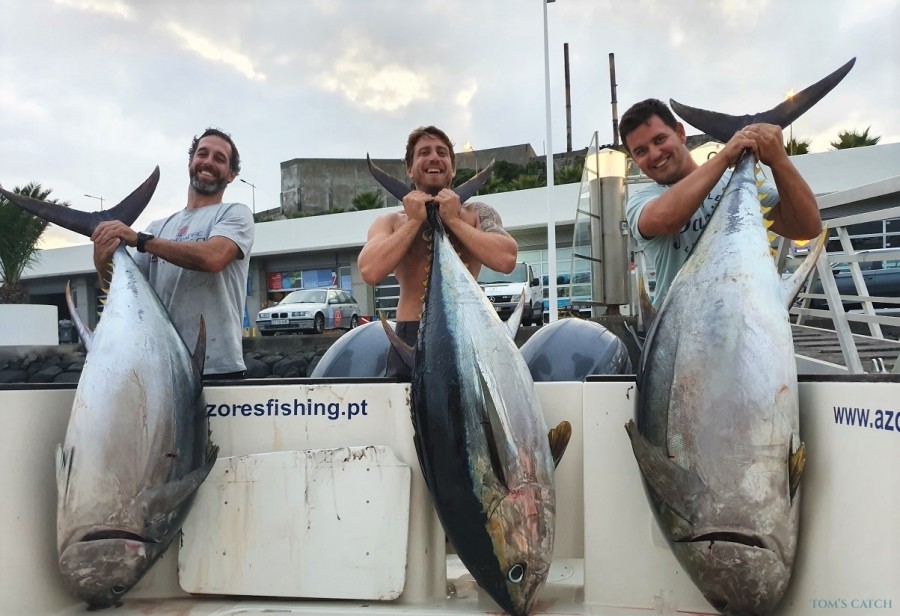 Fishing Charter Frontino
