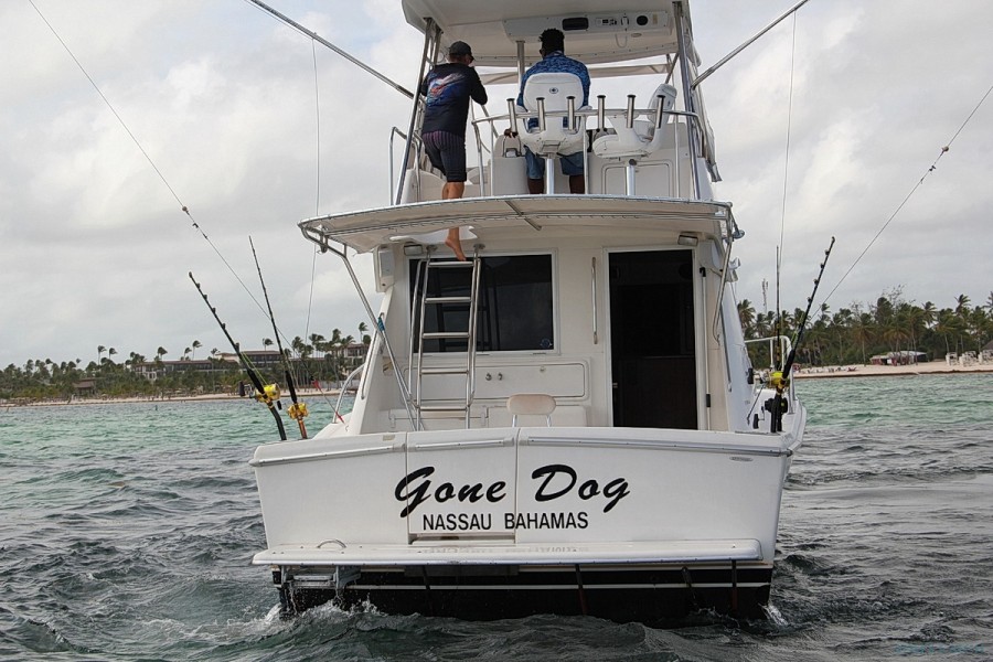 Fishing Charter Gone Dog