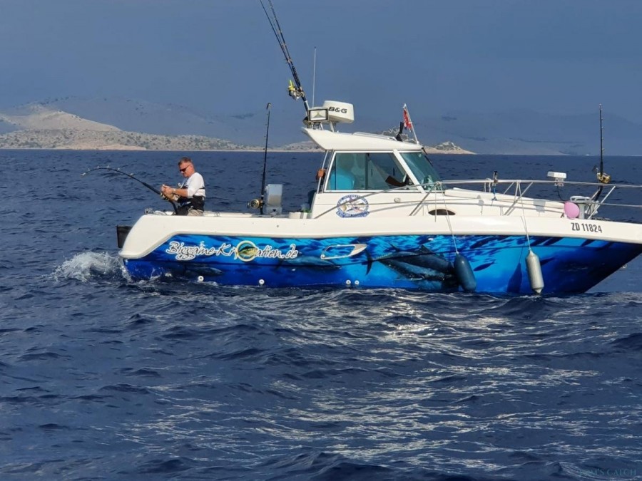 Fishing Charter Maxi - Faeton Moraga