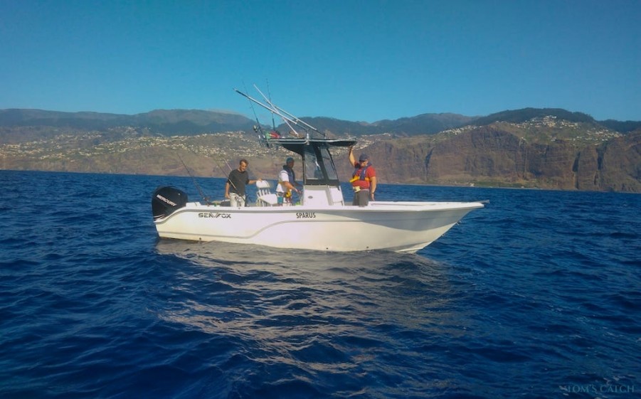 Fishing Charter Sea Fox 236 Madeira Sea Fishing