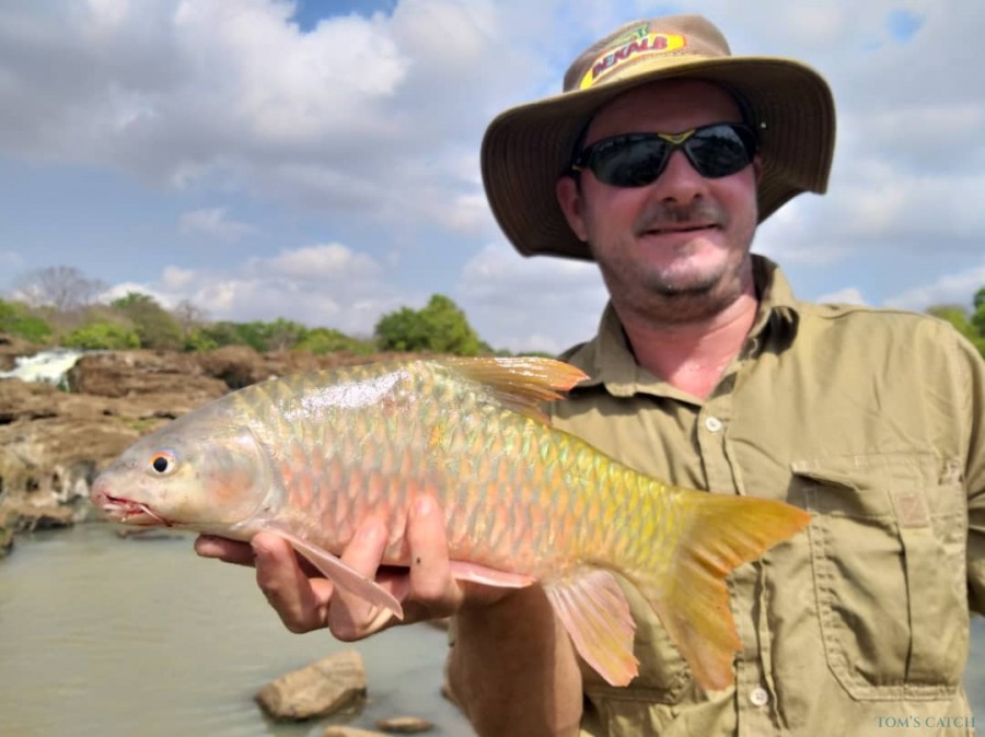 Fishing Charter Tanzanian TigerFish Adventures