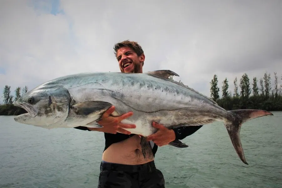 Wellcraft 232 Fisherman EBRO DELTA