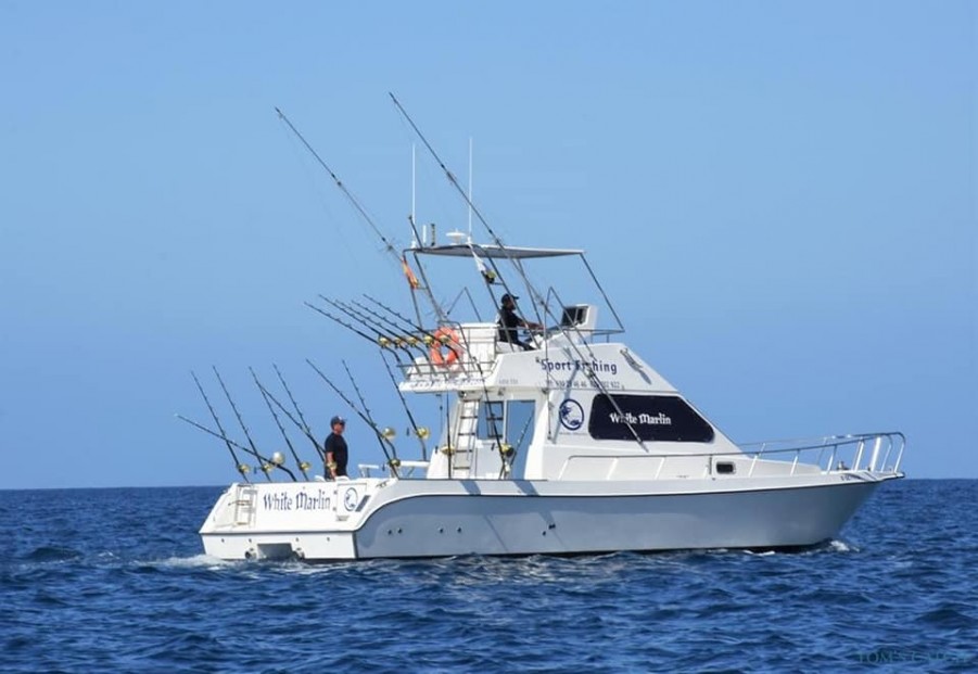 Fishing Charter White Marlin