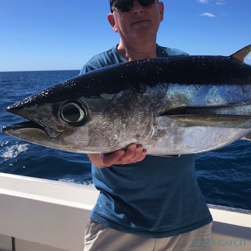 How to Catch Skipjack Tuna