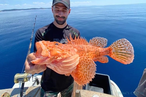 Red Scorpionfish fishing