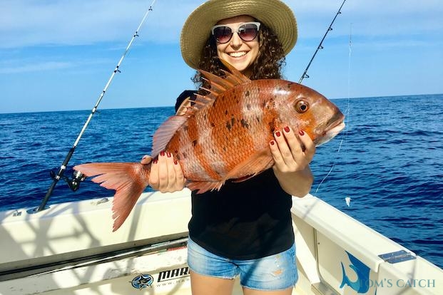 Redbanded seabream fishing