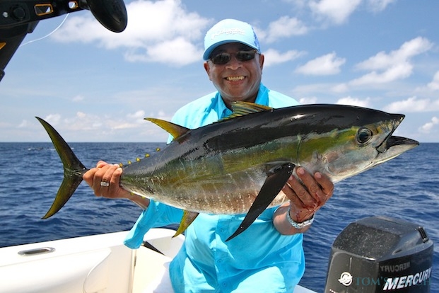Yellowfin Tuna fishing