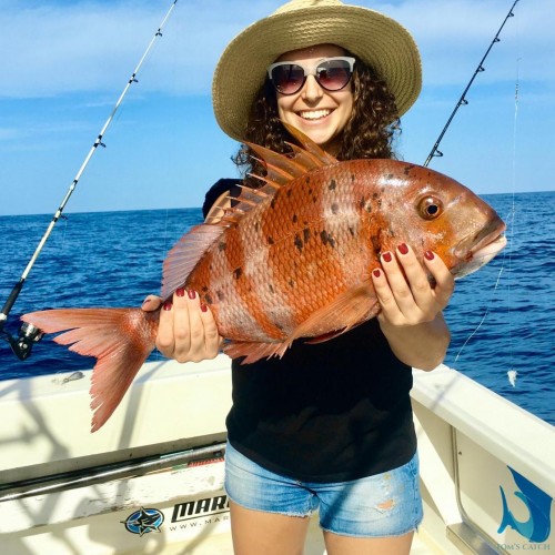 Red Scorpionfish Fishing: species guide, charters and destinations - Tom's  Catch