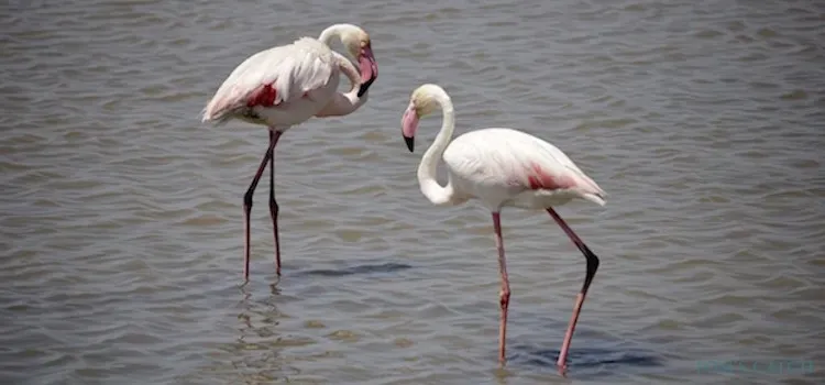 Deltebre fishing zone