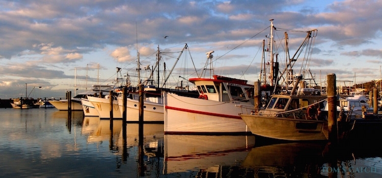 New South Wales fishing zone