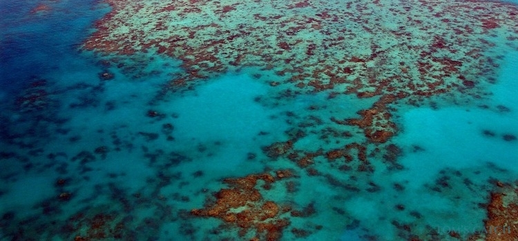 Queensland fishing zone