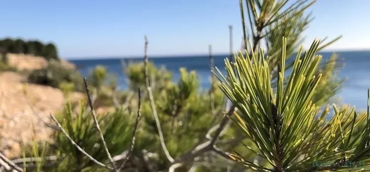 Sardinia fishing zone