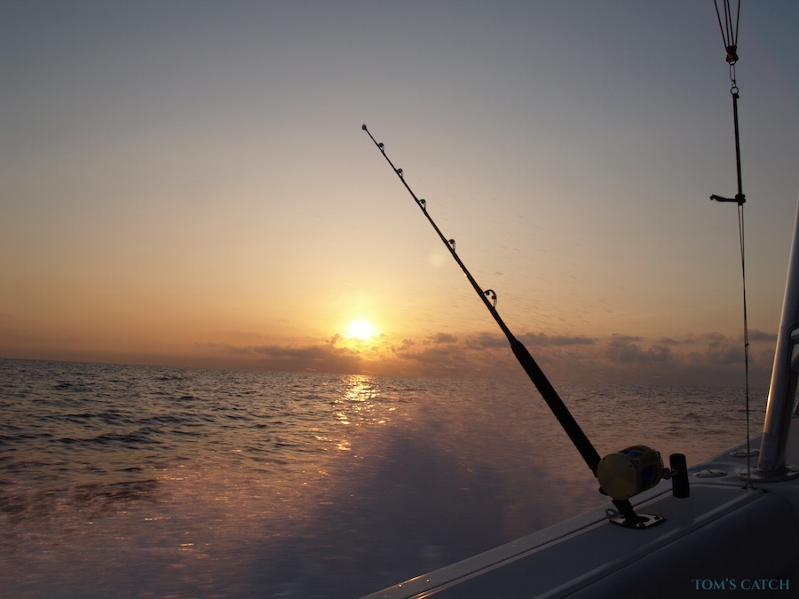Charter de pêche Azimut 55