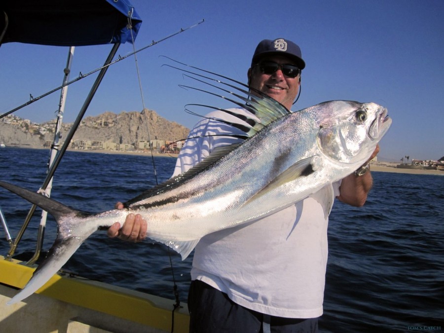 Charter de pêche California 28 FT CSL
