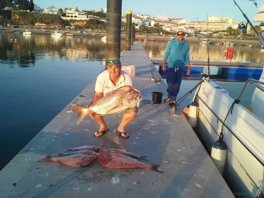 Charter de pêche Donzela
