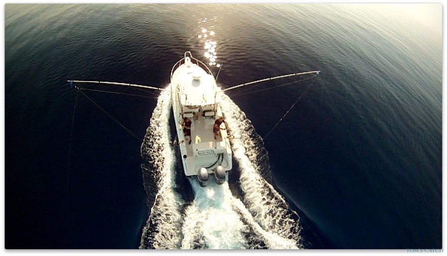 Charter de pêche Pursuit 2570 Offshore