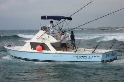 Reel Screamer Puerto Aventuras pêche