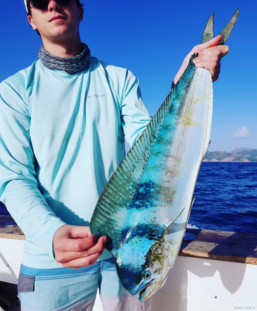 Charter de pêche Royal Charters Mallorca