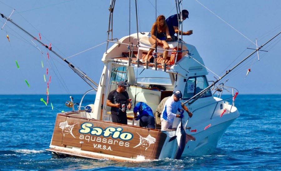 Charter de pêche Safio
