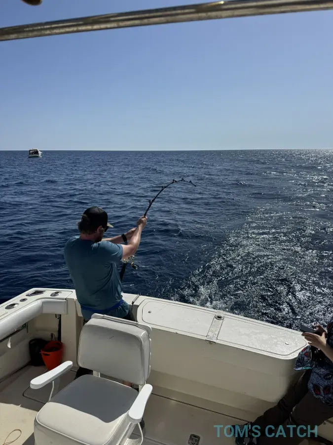 Sardinia Fishing Charter