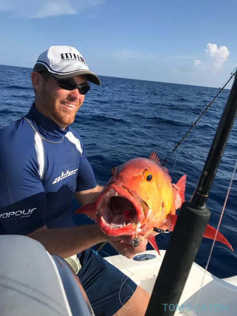 Valkyrie Maldives Charters