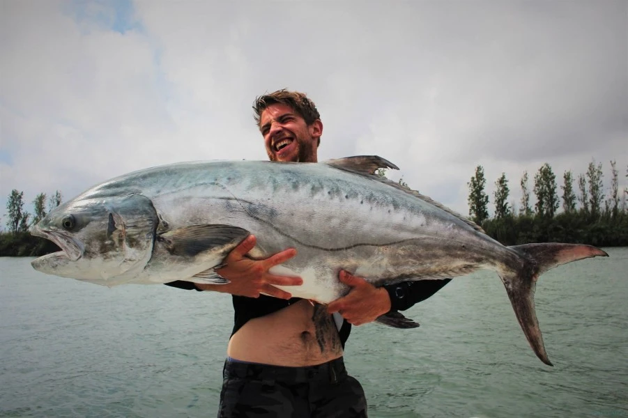 Wellcraft 232 Fisherman EBRO DELTA