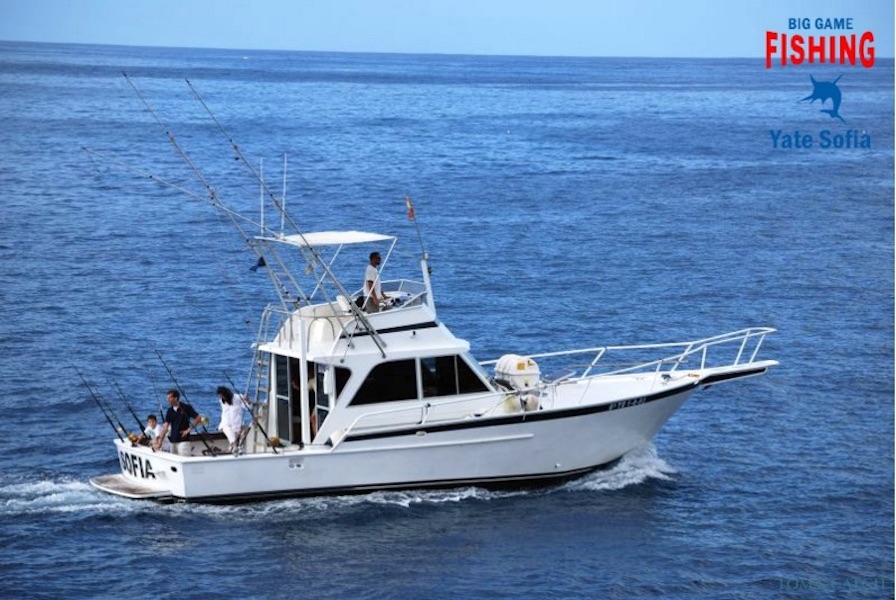 Charter de pêche Yate Sofia