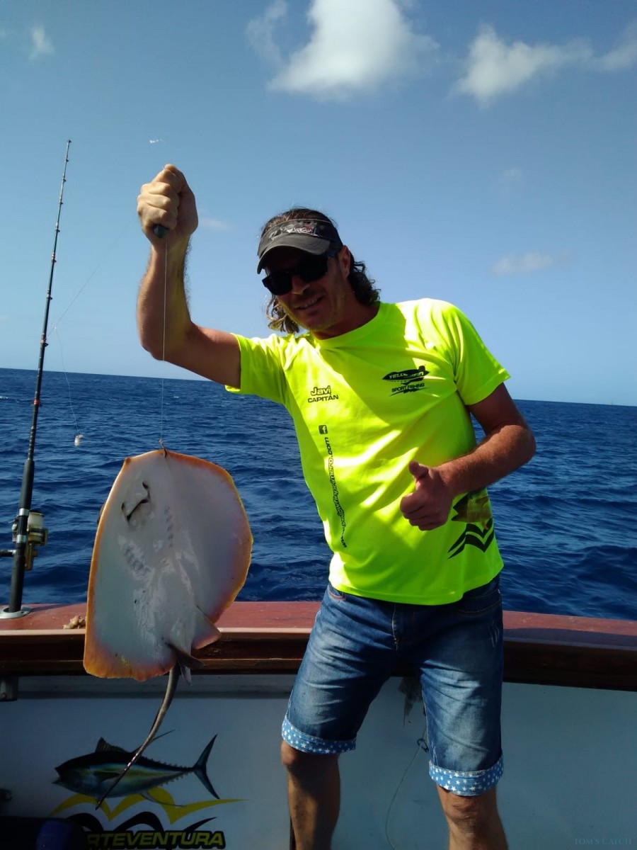 Charter de pêche Yellow Fin 1