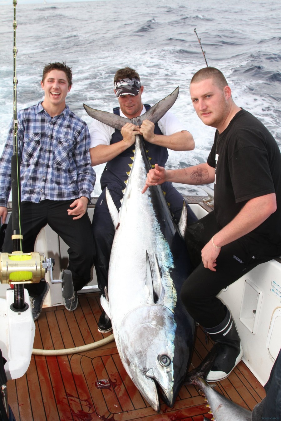 Charters Ambition Game Fishing Charters
