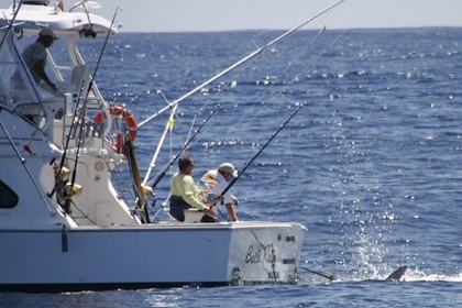 Boca Raton Madeira vissen