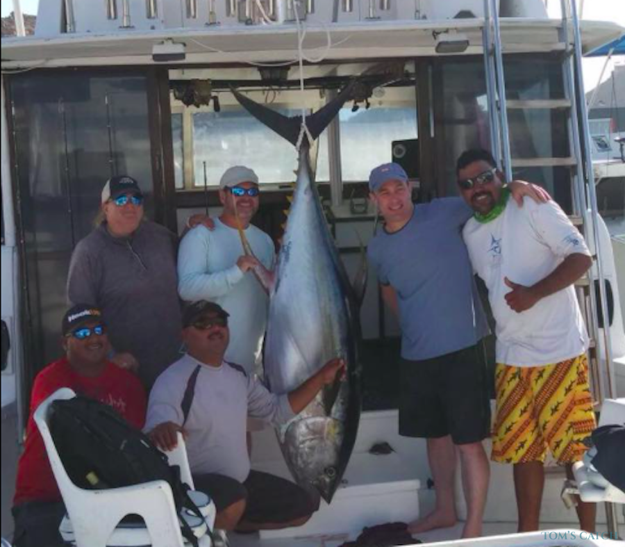Charters Fish Cabo