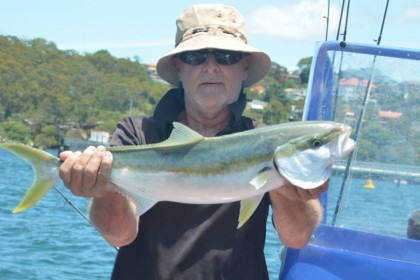 Foreshore Fishing Tours Sydney vissen