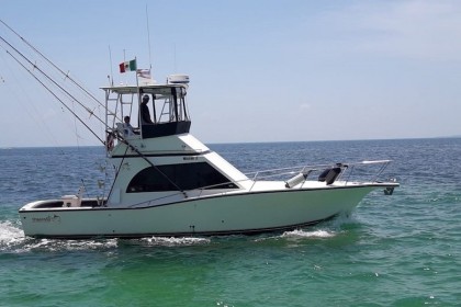 Samaki Cancun vissen