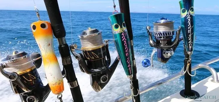 Madagascar visgebied