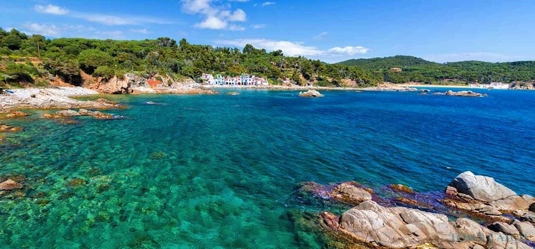 Spanje visgebied