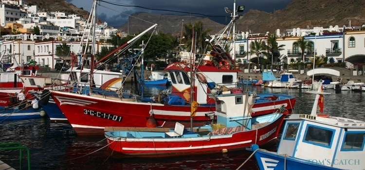Zona de pesca Tenerife
