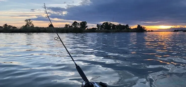 Zone de pêche Delta de l'Ebre